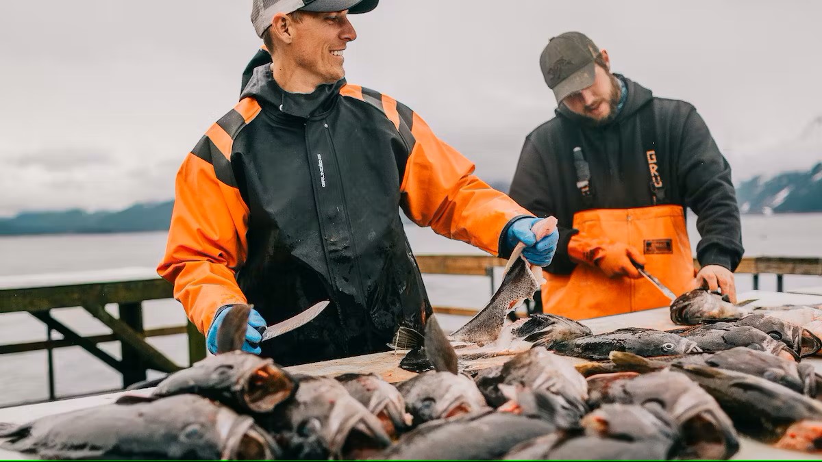 two fisherman cleaning rockfish Millers Landing Seward Alaska Beach Seaside