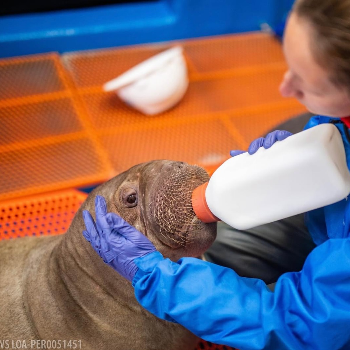 a small child sitting on a table
