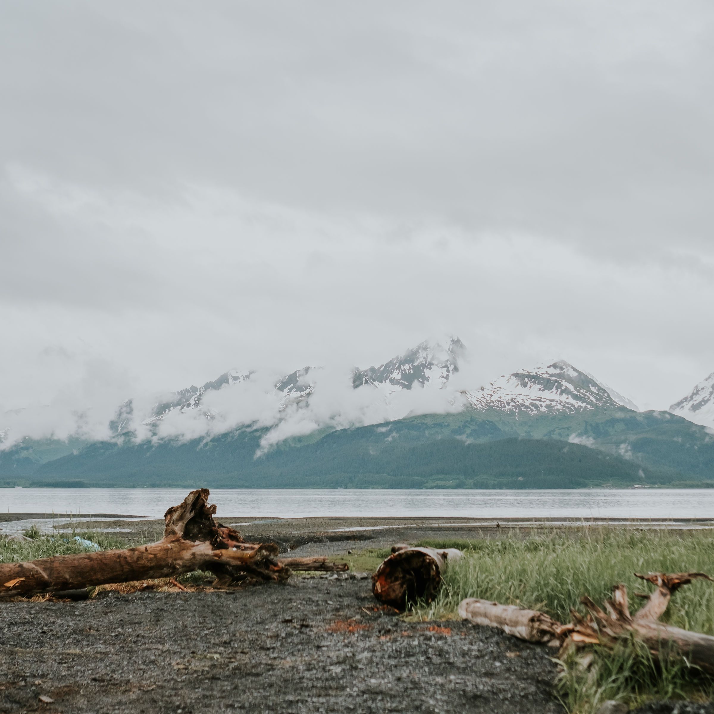 a group of people on a beach near a body of water