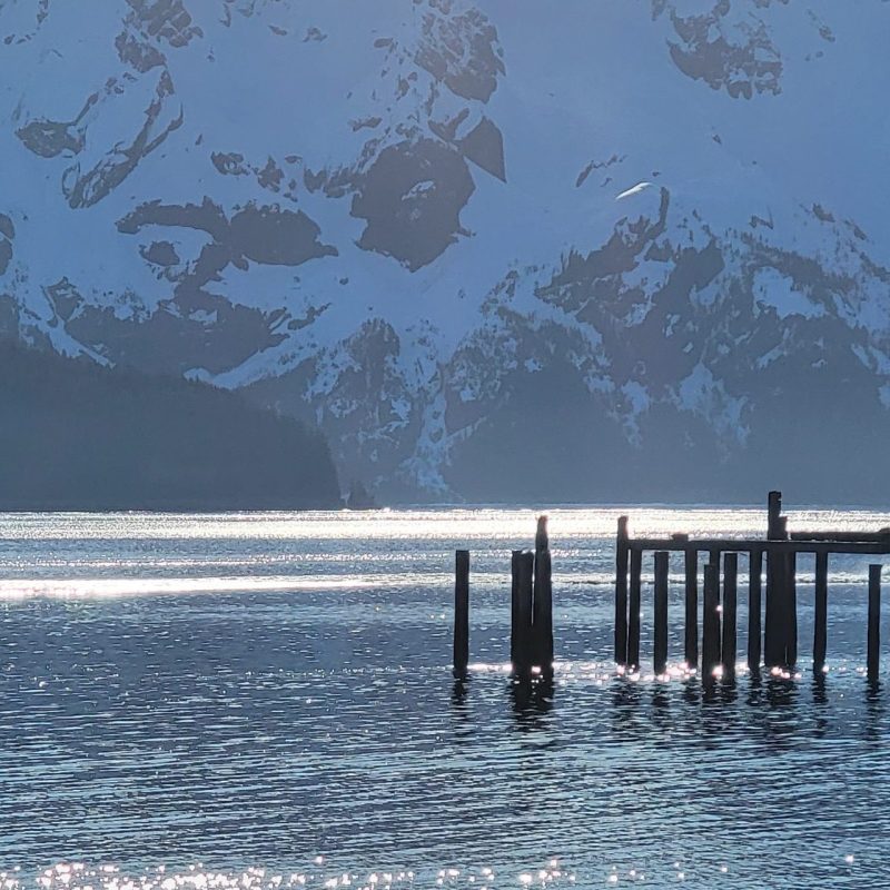 Seward Alaska Kayaking Millers Landing