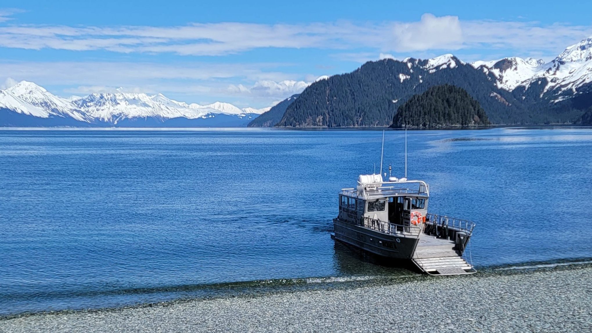 a bird sitting on a rock next to a body of water