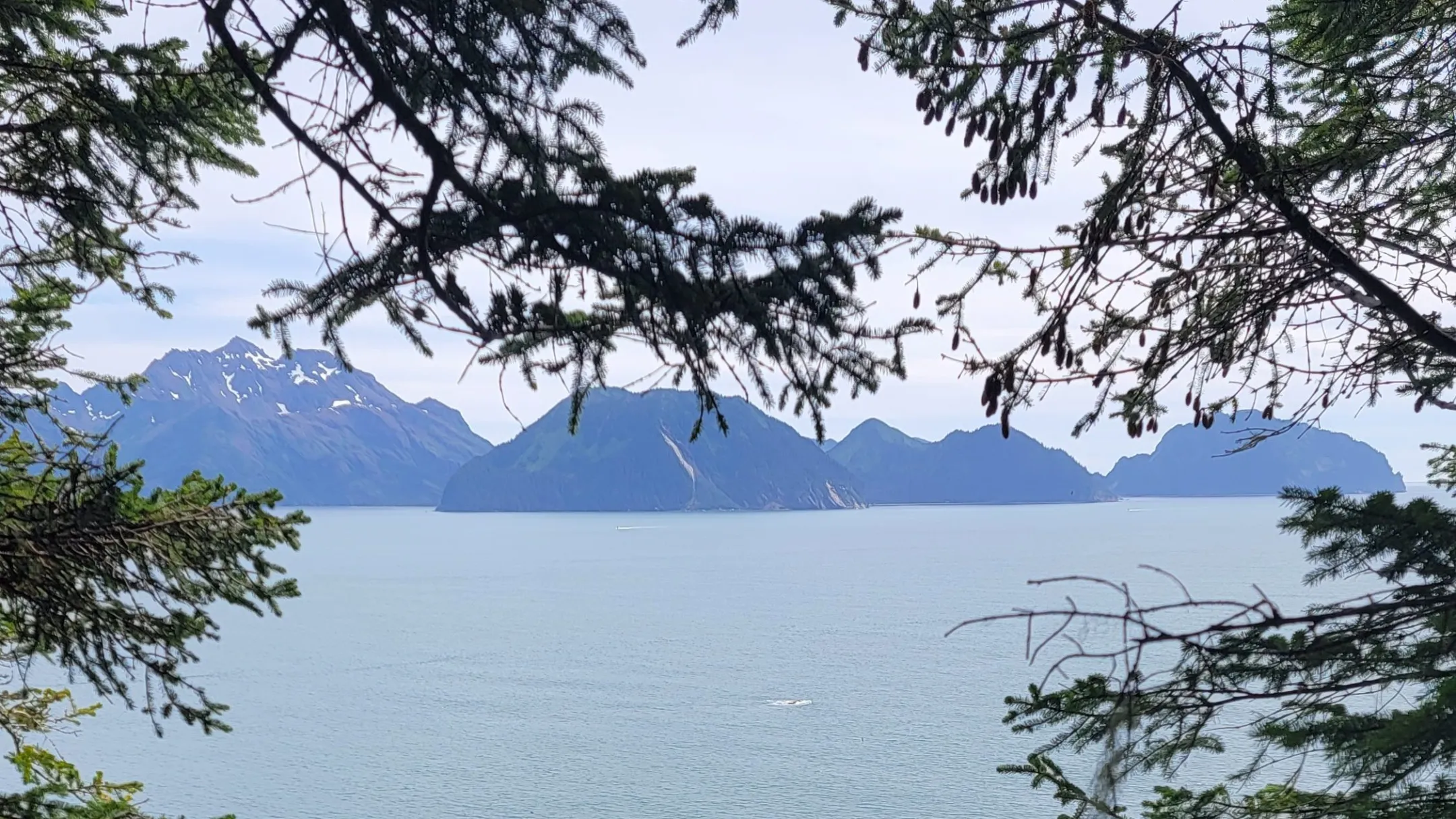 Caines Head Seward Alaska Kayaking