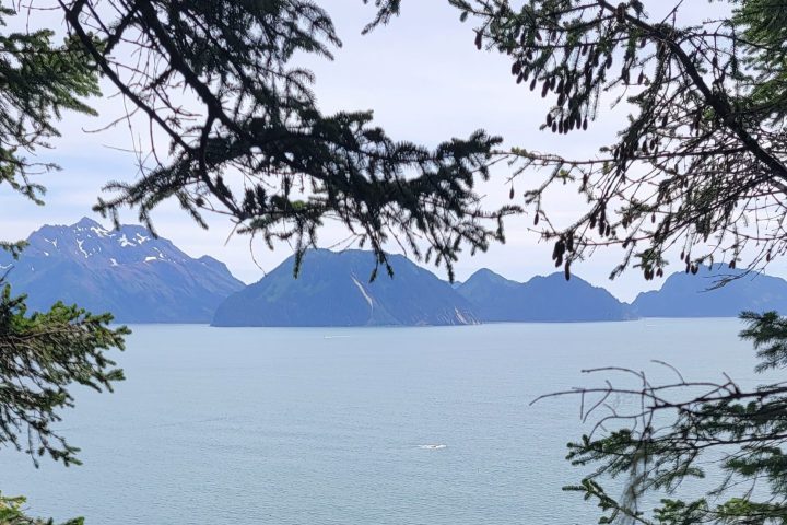 Caines Head Seward Alaska Kayaking