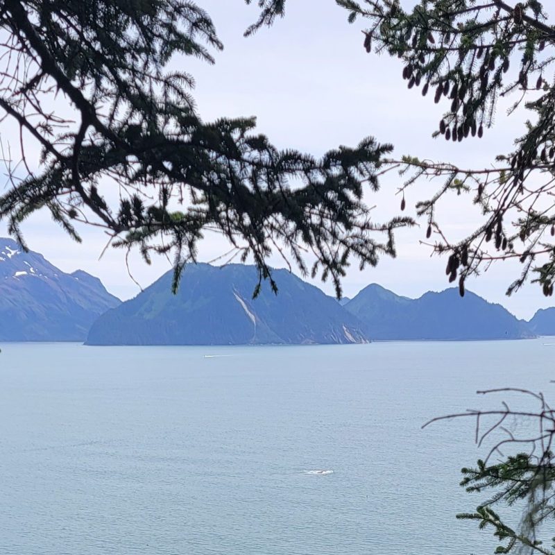 Caines Head Seward Alaska Kayaking