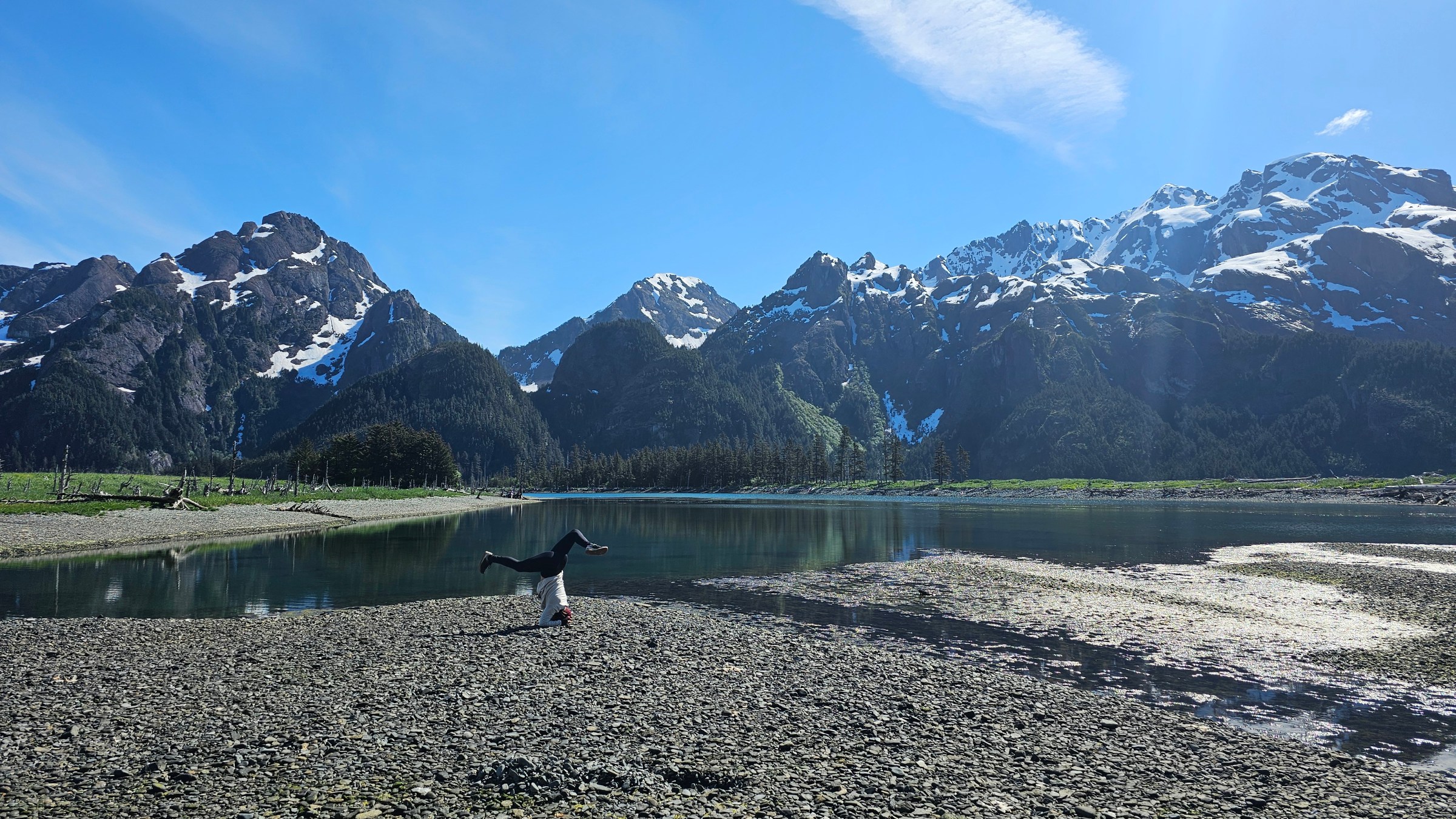 a flock of birds standing on top of a mountain