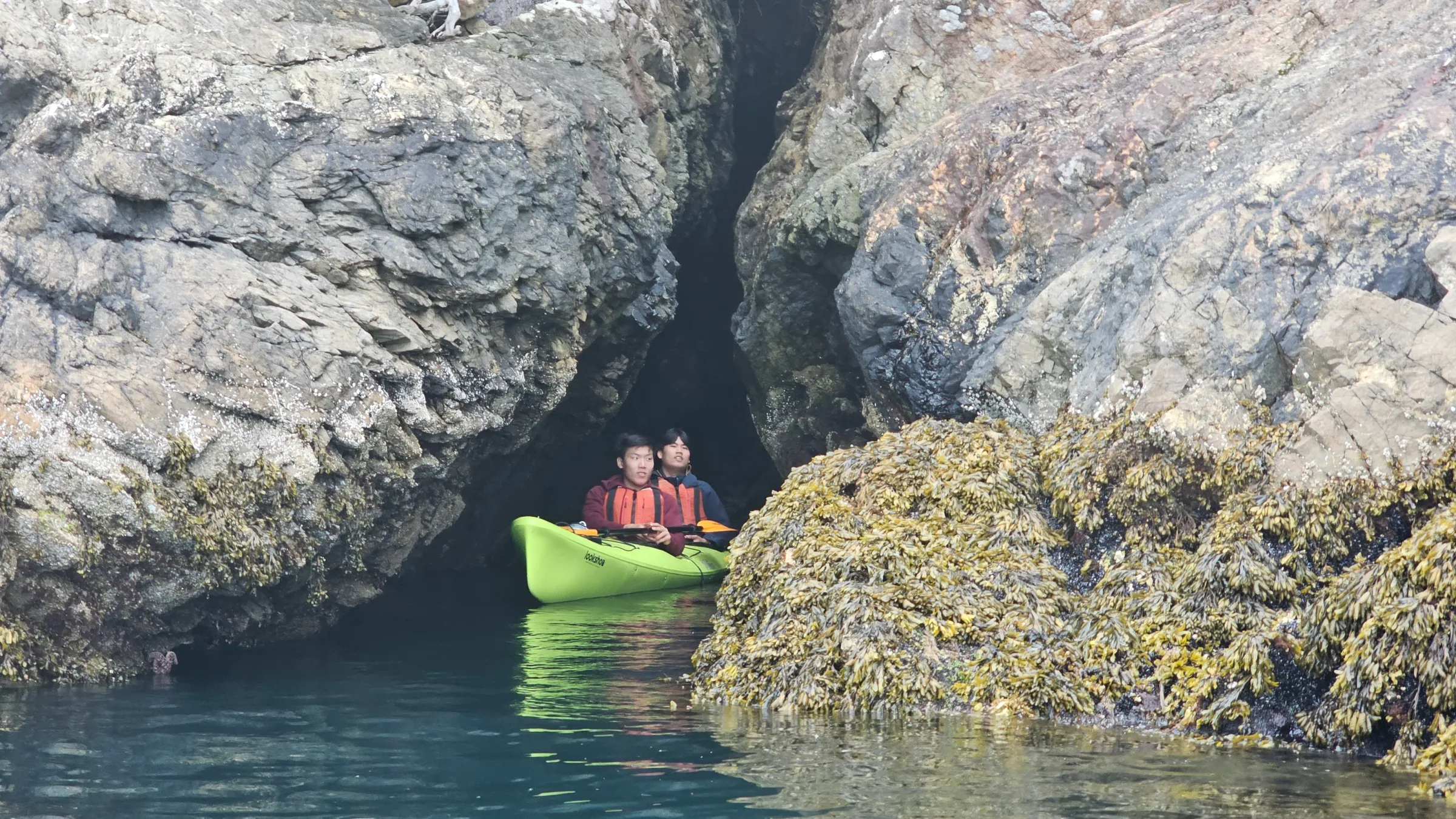 a close up of a rock next to water