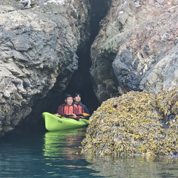 a close up of a rock next to water