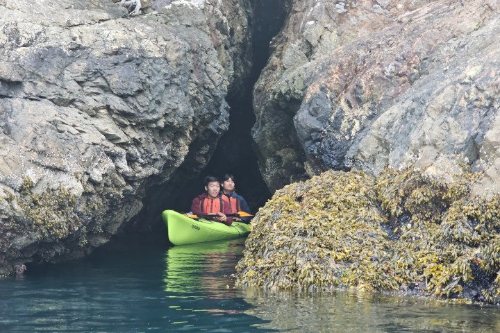 a close up of a rock next to water