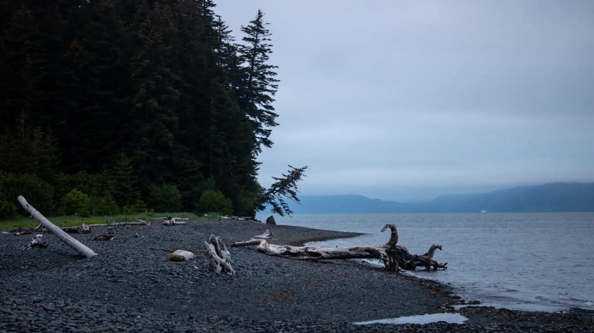 seward alaska kayaking hiking caines head