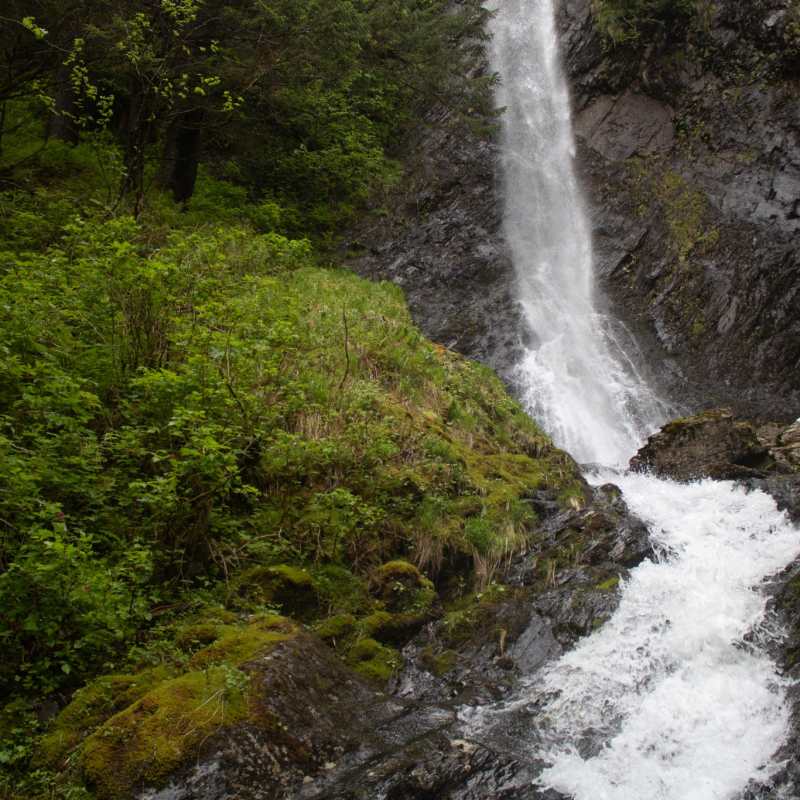 a large waterfall in a forest in the rainforest seward alaska