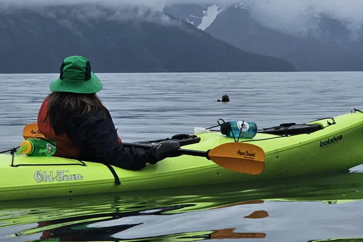 a group of people sitting next to a body of water