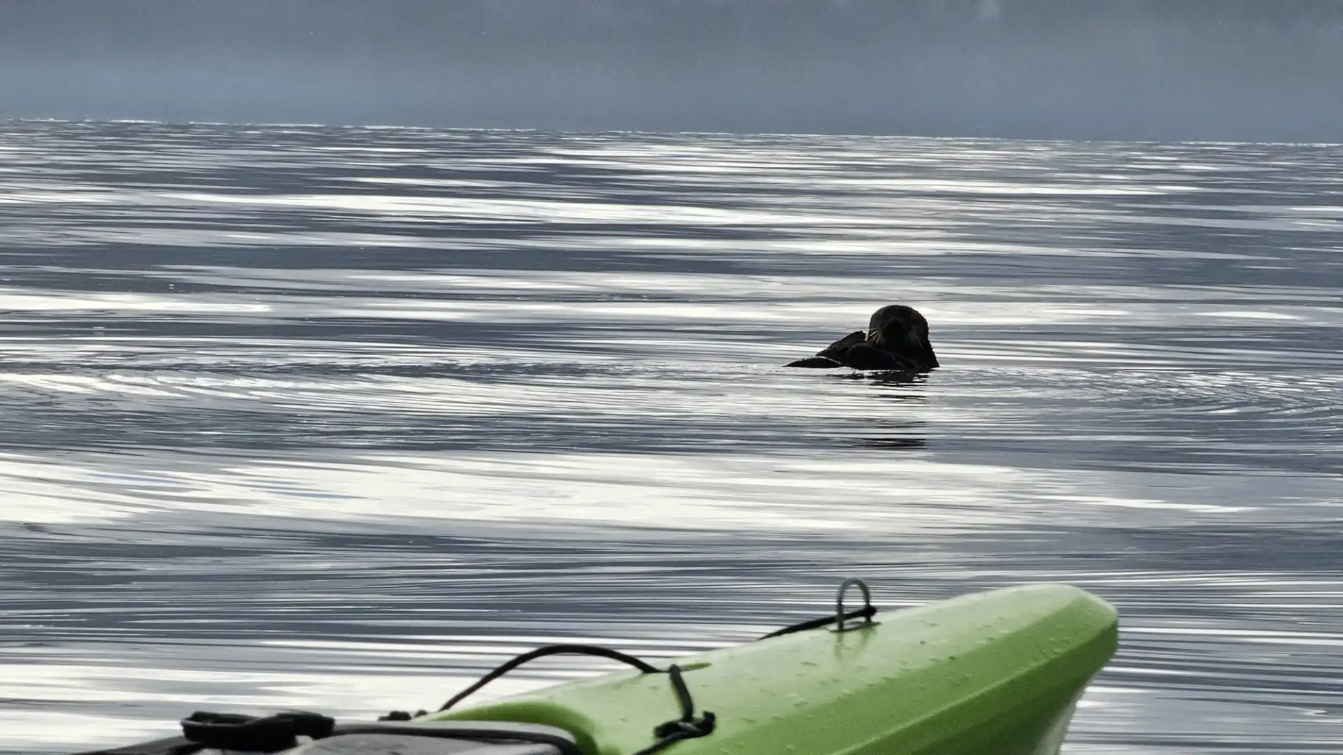 water next to the ocean
