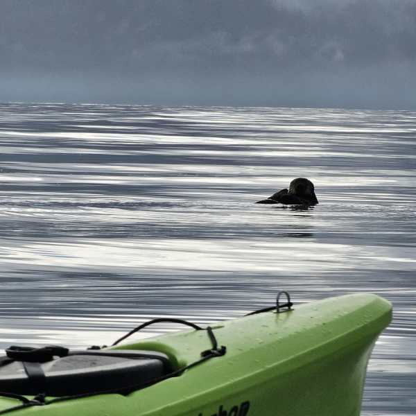 water next to the ocean