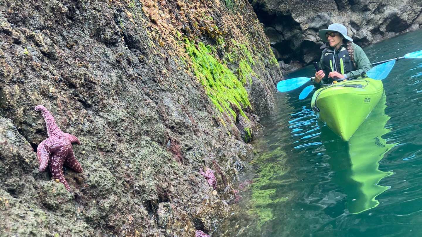 a person swimming in the water