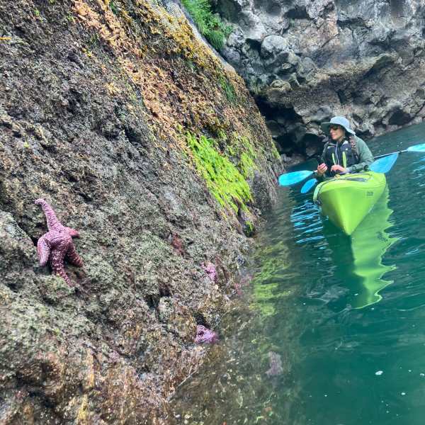 a person swimming in the water