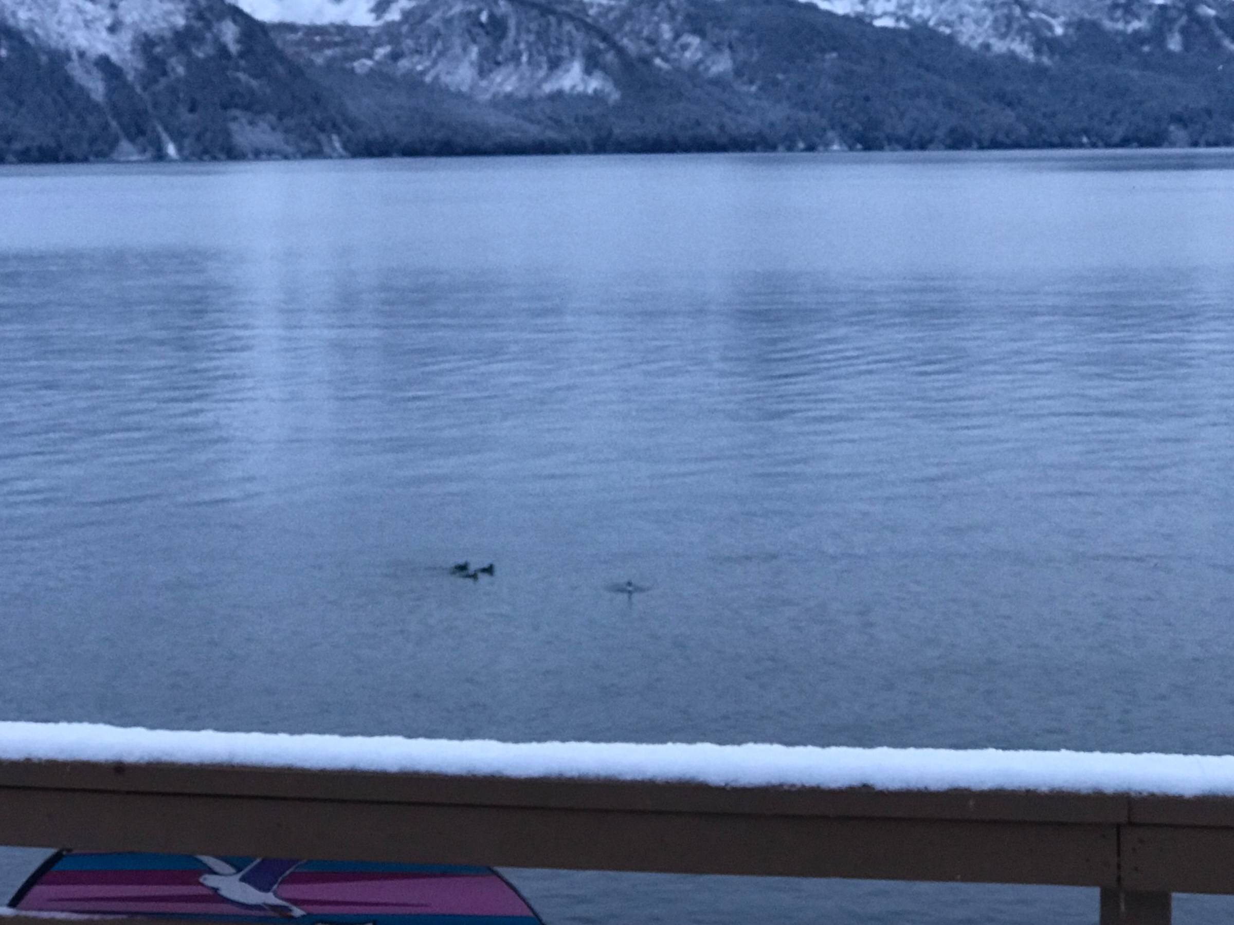 a body of water with a mountain in the background