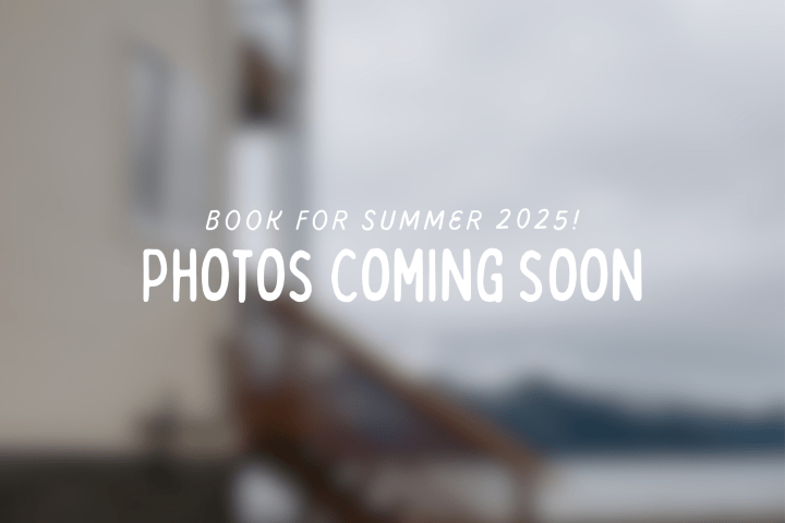 graphical user interface, text, application