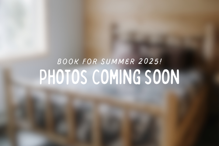 graphical user interface, website