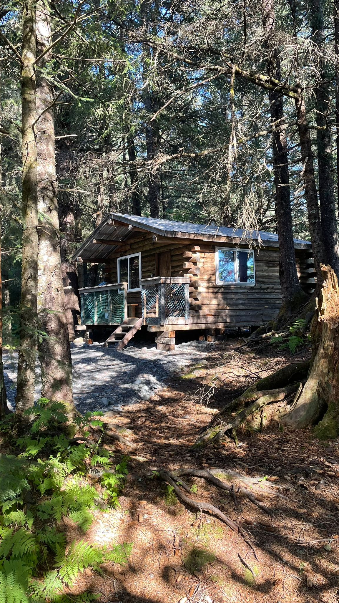 Small log cabin in a forested area with dappled sunlight and surrounding trees.