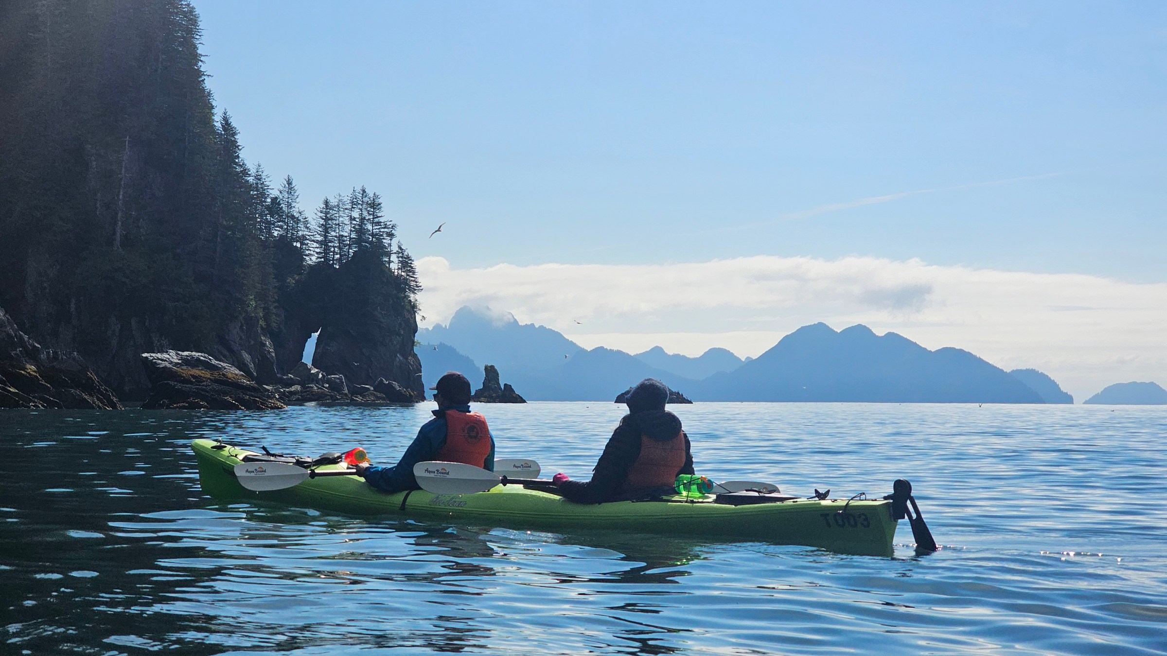 Two people kayaking on calm sea near rocky, tree-covered coastline under blue sky.