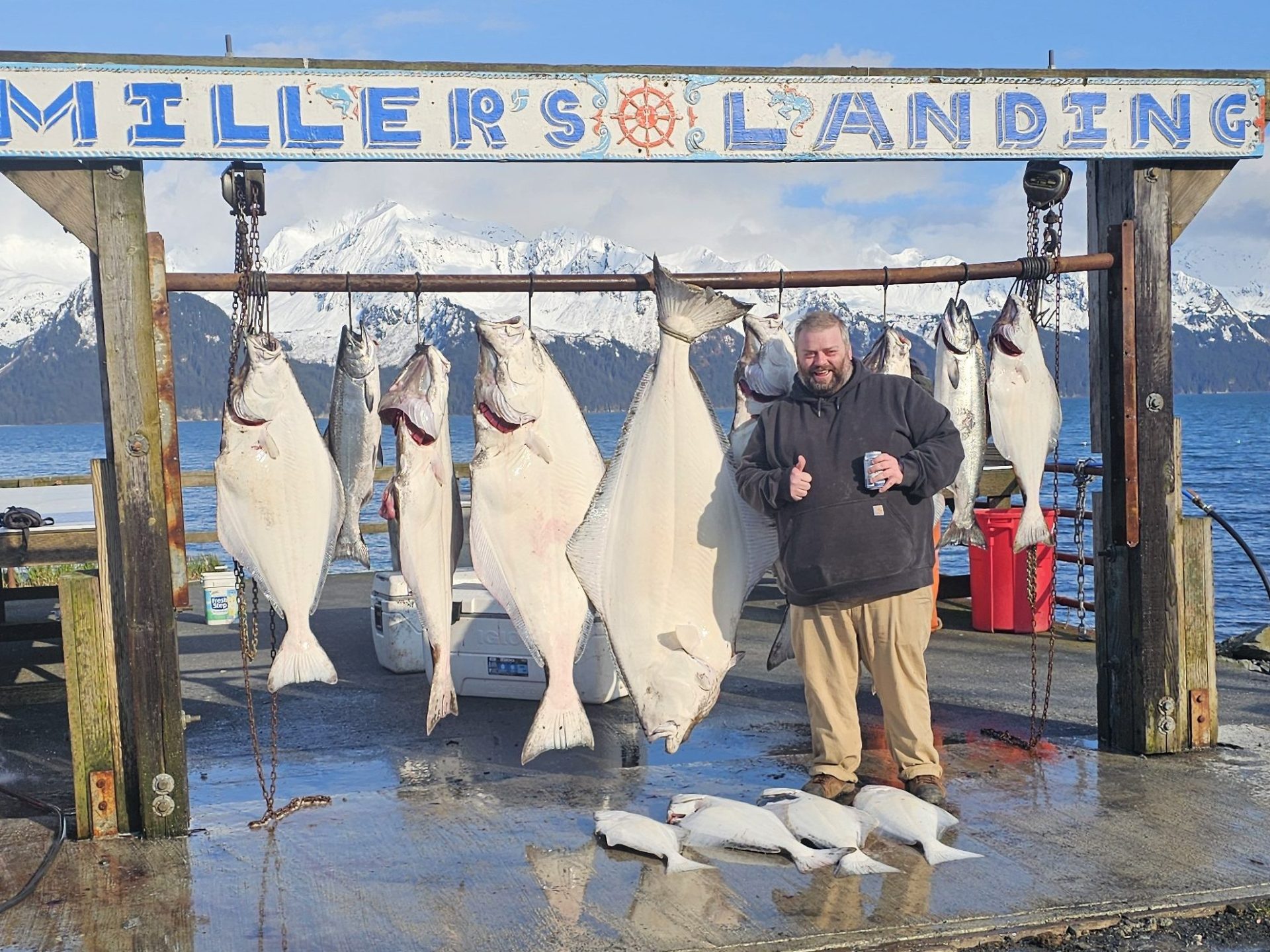 Person poses with large fish hanging on a rack labeled 'Miller's Landing' with snowy mountains and water in background.