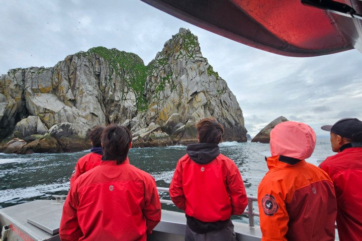 People in red jackets on a boat, looking at a large rocky island with greenery.