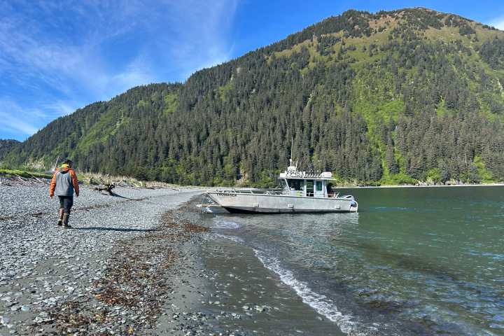Person walks on a rocky beach, near a boat on the water, with a forested mountain in the background.