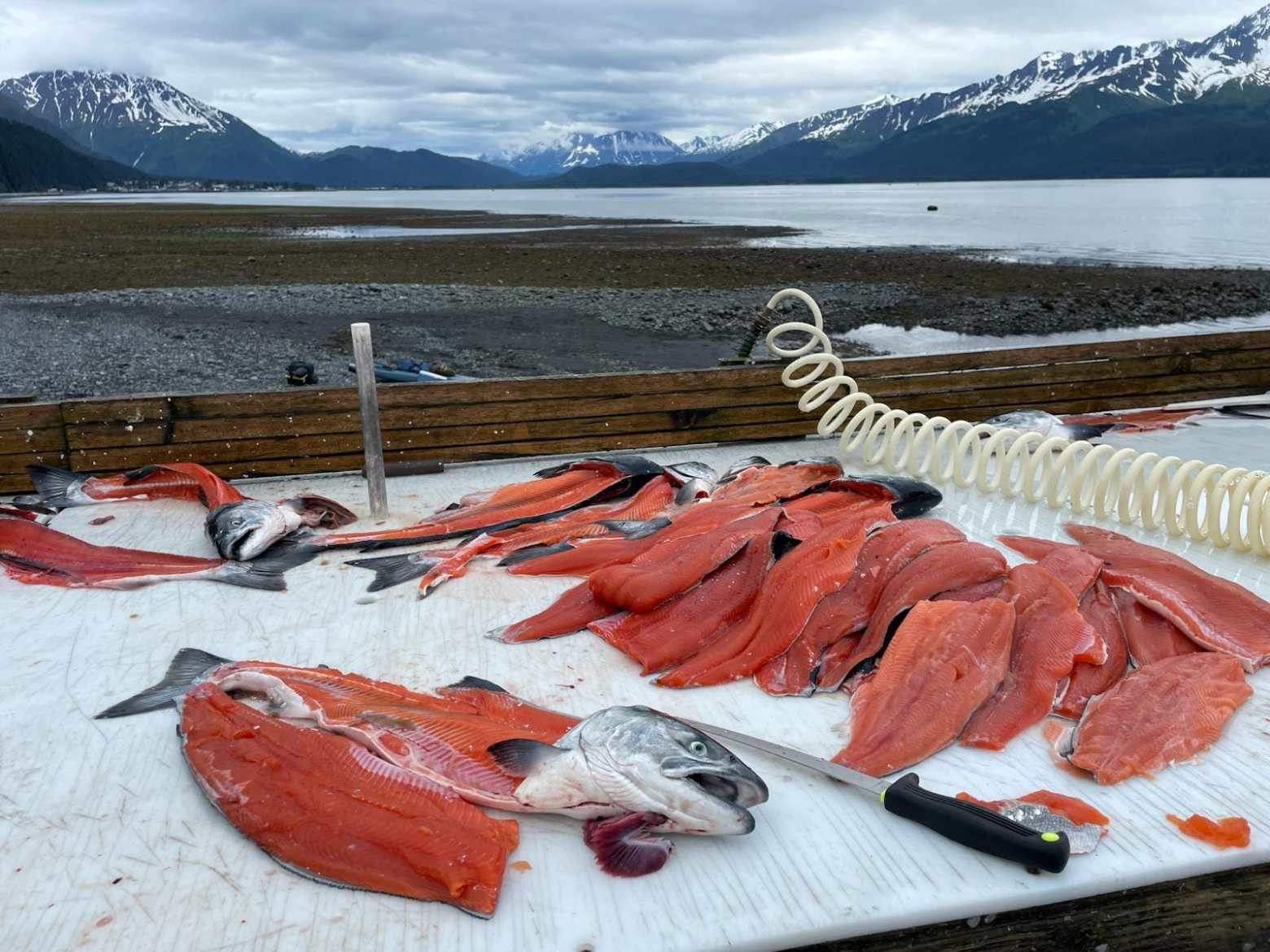 Filleted salmon on a table with mountains and sea in the background.