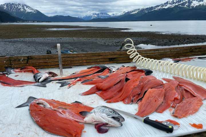 Filleted salmon on a table with mountains and sea in the background.