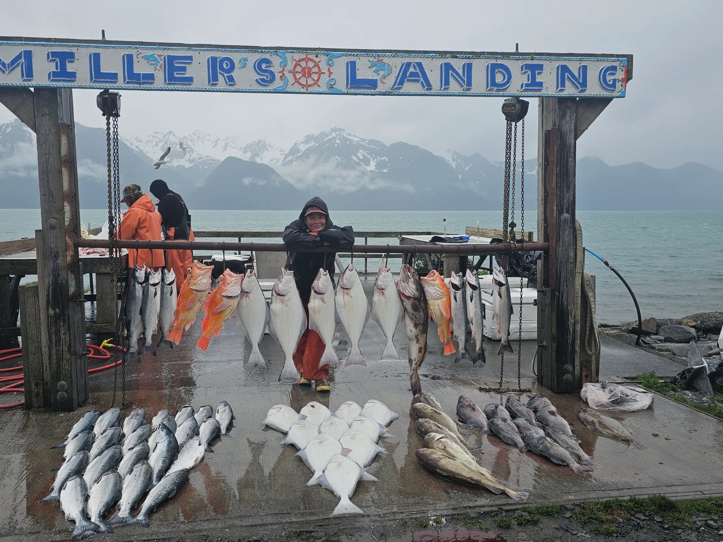 Fishermen displaying large catch of fish under a 'Miller's Landing' sign by the sea.