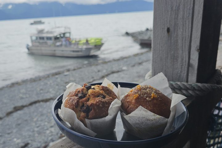Two muffins in a bowl on railing with boats on a lake.