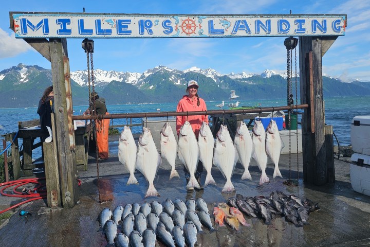 Fish displayed on racks under sign 'Miller's Landing' with mountains and water in the background.