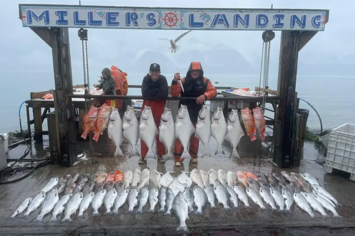 Two people in orange suits display a variety of fish at Miller's Landing on a rainy day.