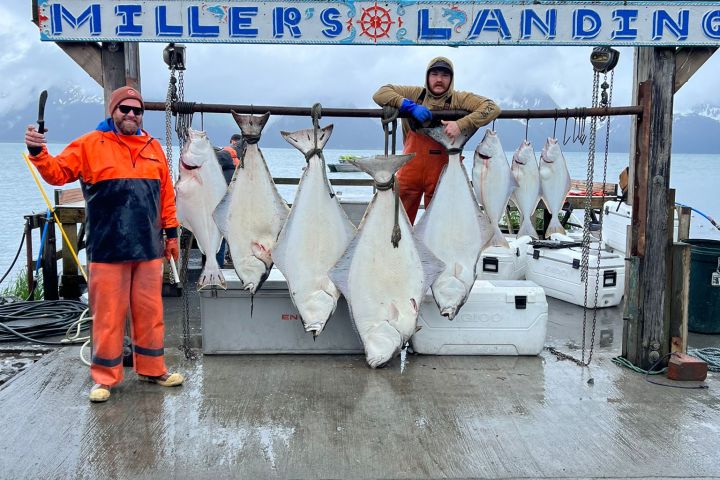 Two people in rain gear pose with large fish under 'Miller's Landing' sign on a dock.