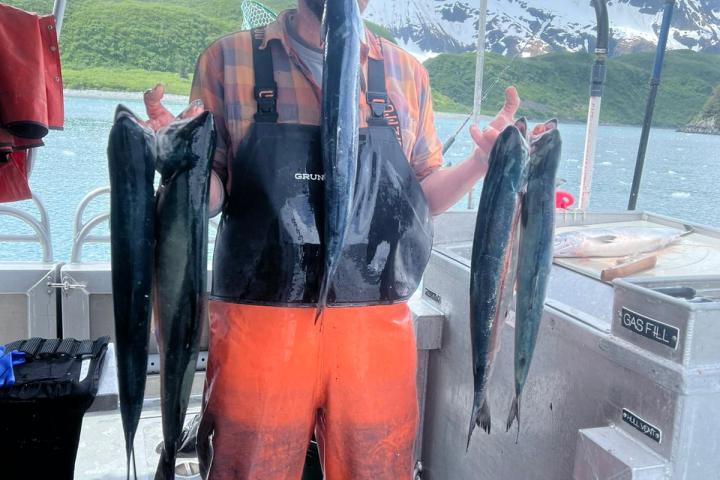 Person in orange overalls holding fish on a boat with mountains in the background.