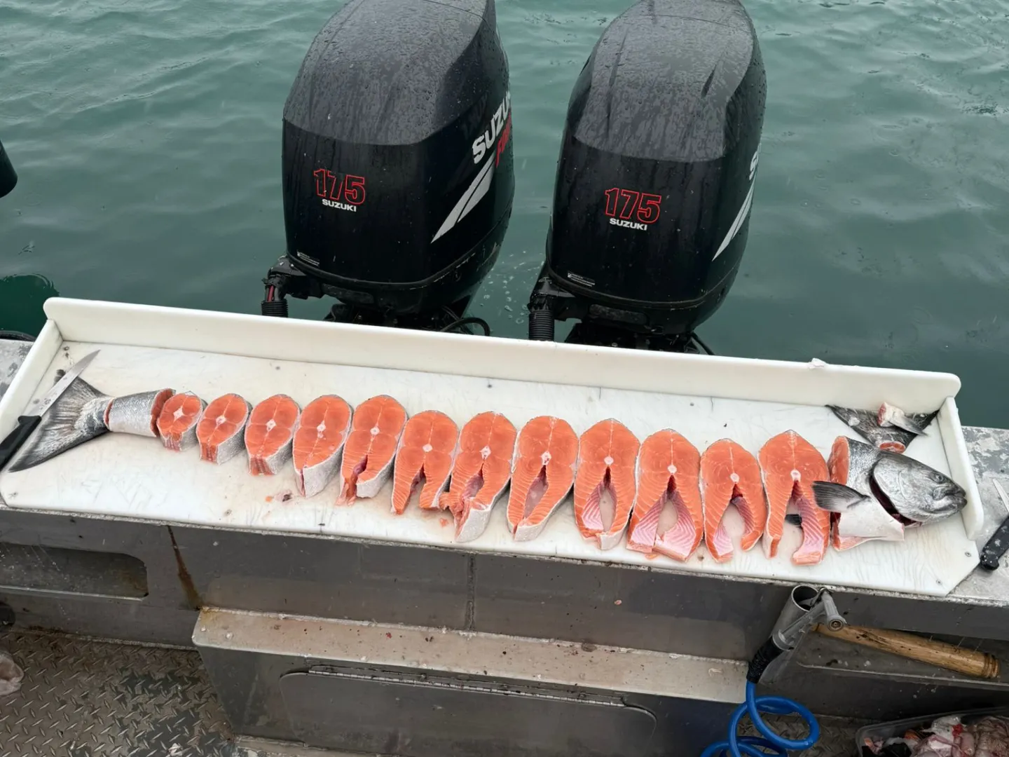 Fish slices on a tray with two boat engines and blue water in the background.