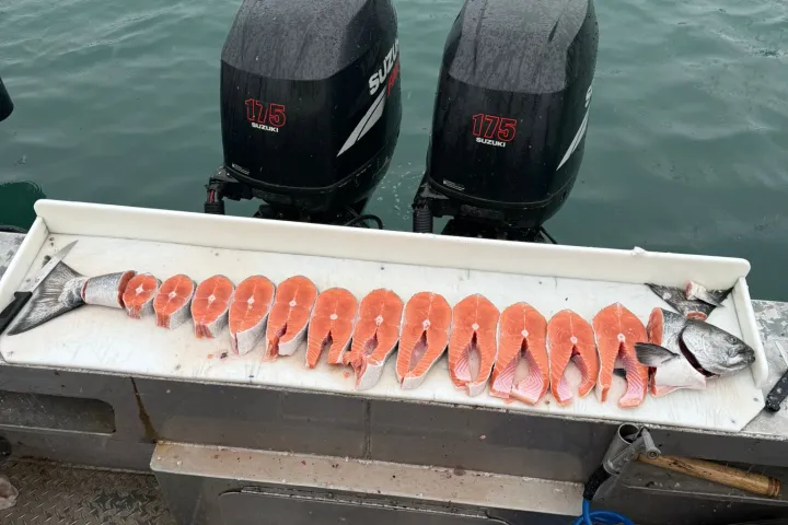 Fish slices on a tray with two boat engines and blue water in the background.
