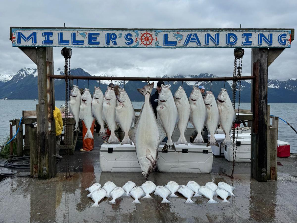 Fish hanging under 'Miller's Landing' sign with mountains and sea in background.