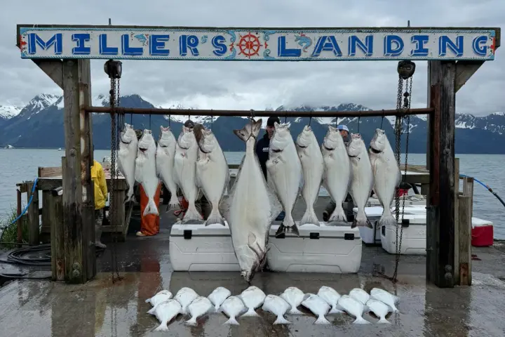Fish hanging under 'Miller's Landing' sign with mountains and sea in background.