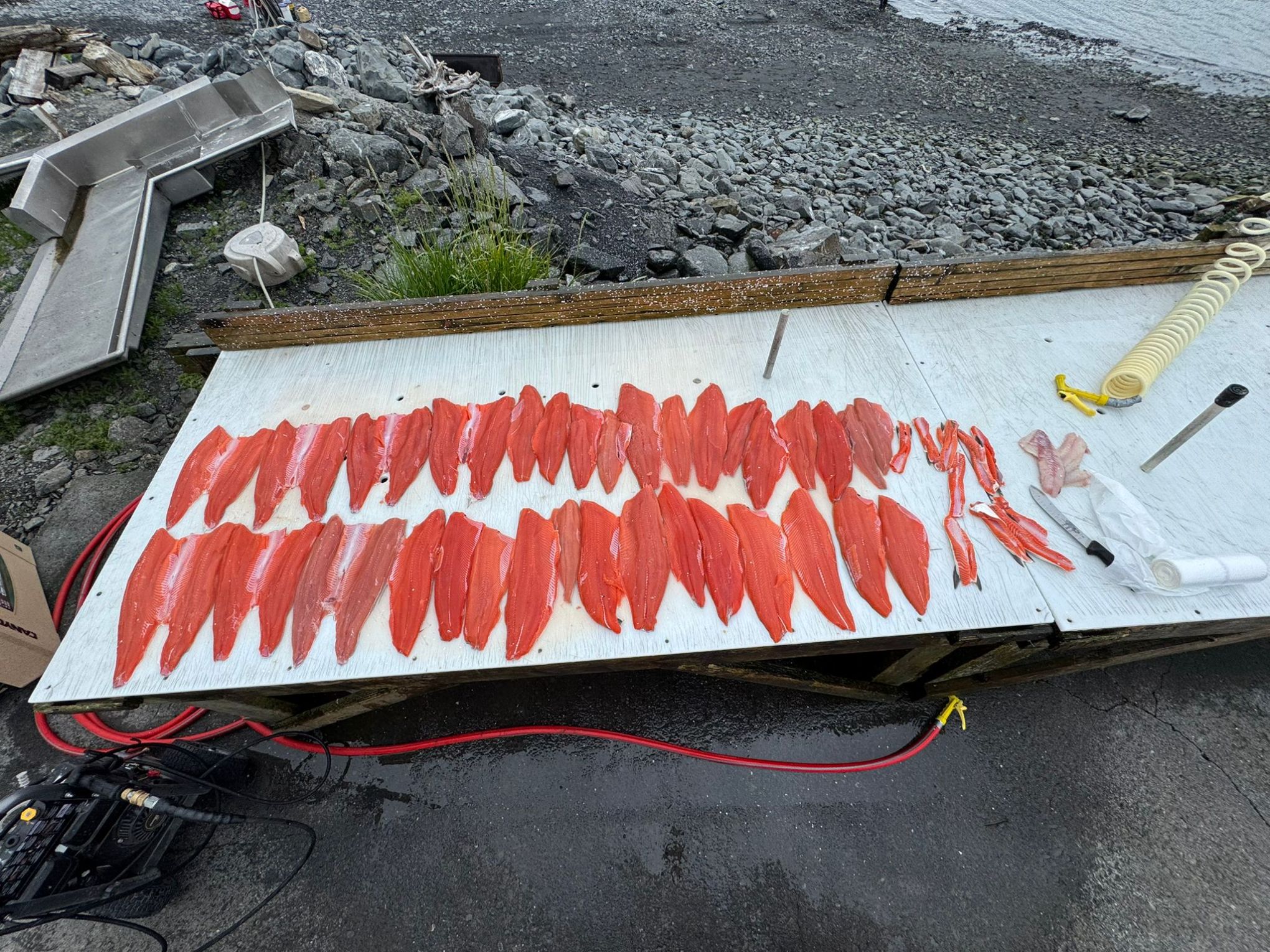 Several fish fillets on a white table by a rocky shore.
