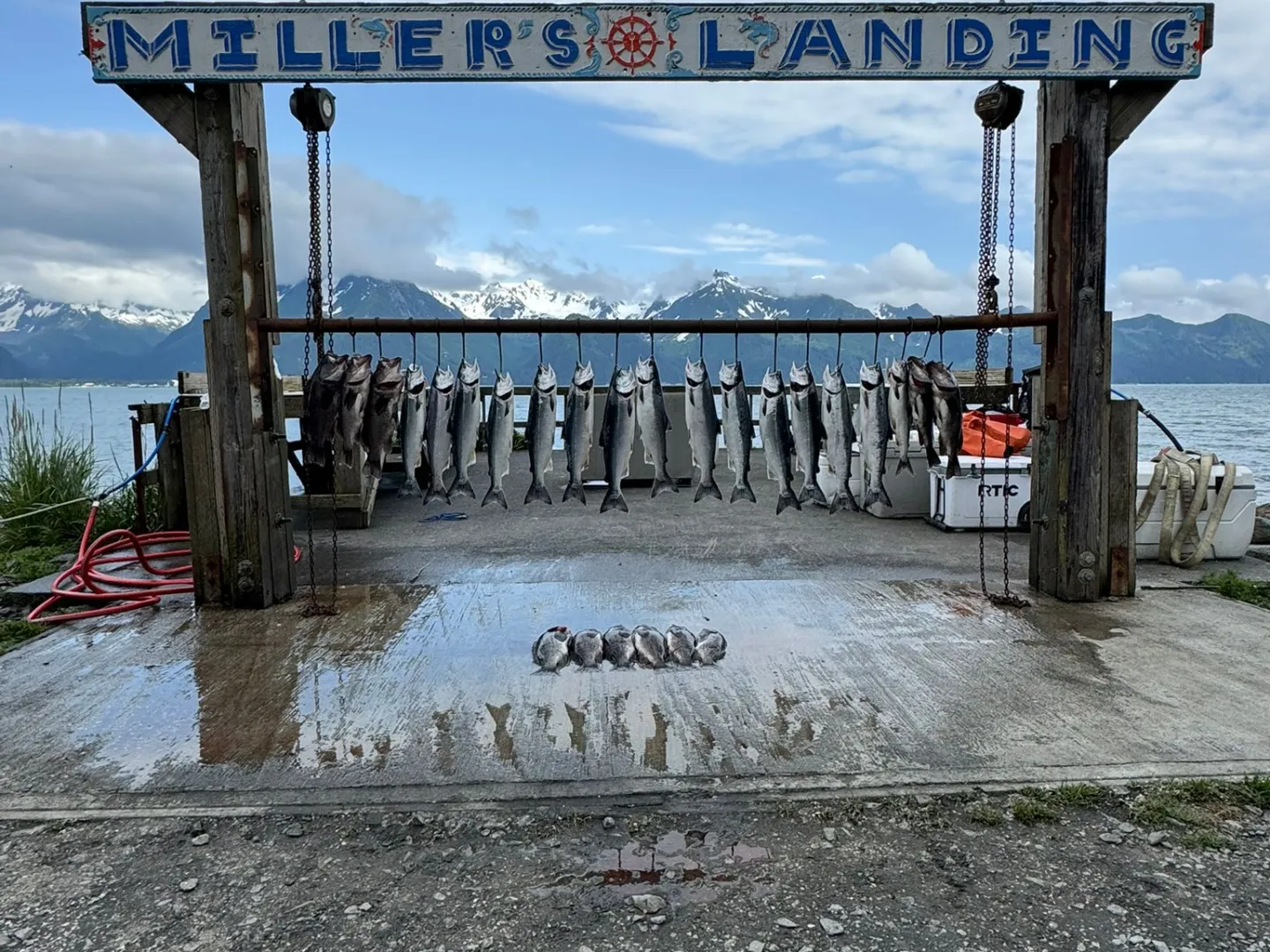 Fish hanging at Miller's Landing with mountains and cloudy sky in background.