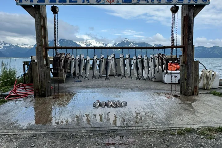Fish hanging at Miller's Landing with mountains and cloudy sky in background.