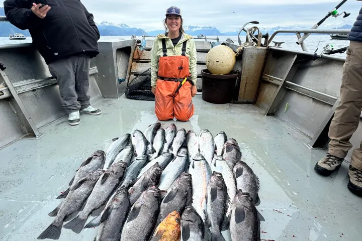 Person kneels on boat deck with a large catch of fish, mountains visible in the background.