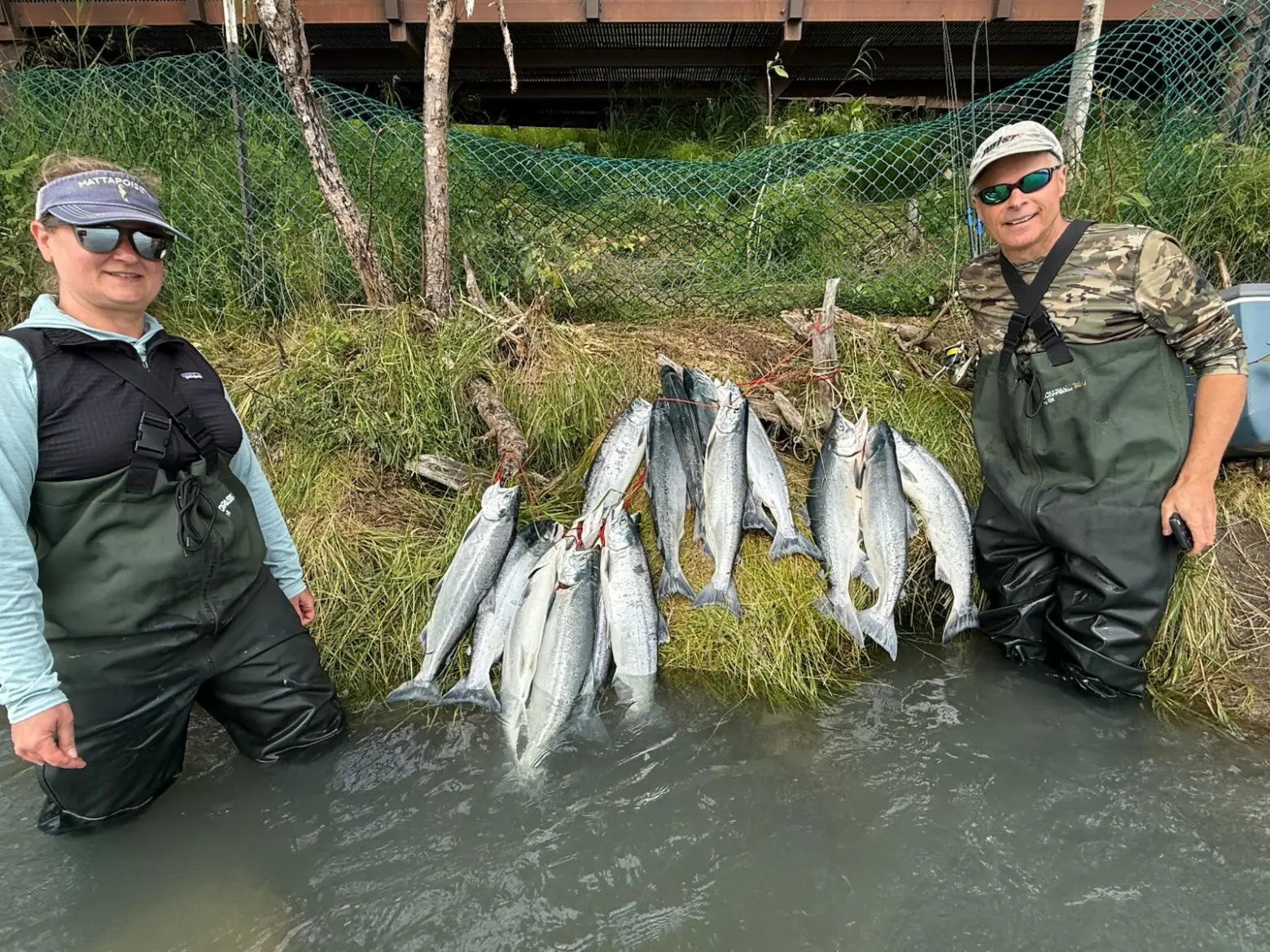 Two people in waders standing in water with caught fish on grass.