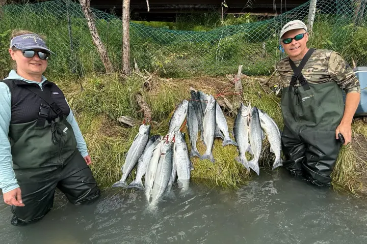 Two people in waders standing in water with caught fish on grass.
