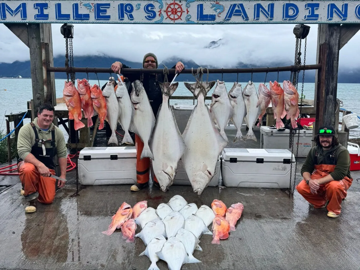 Three fishermen with a large catch of fish hanging and laid out at Miller's Landing.