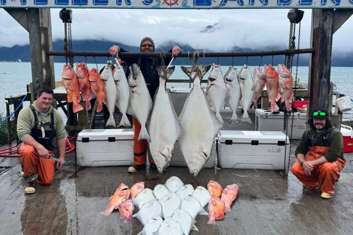 Three fishermen with a large catch of fish hanging and laid out at Miller's Landing.