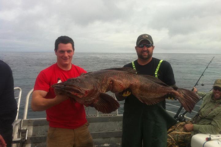 Two men on a boat holding a large fish, ocean in the background.
