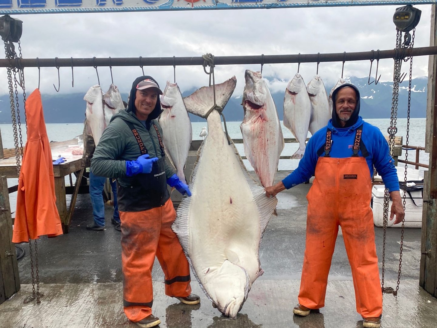 Two people in orange overalls posing with large halibut fish at dockside.