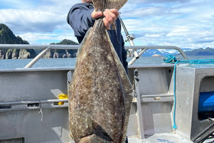 Child holding a large fish on a boat with mountains in the background under a cloudy sky.